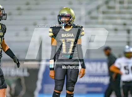 Thumbnail 1 in Hamilton vs Basha photogallery.