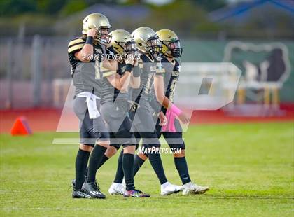 Thumbnail 1 in Hamilton vs Basha photogallery.