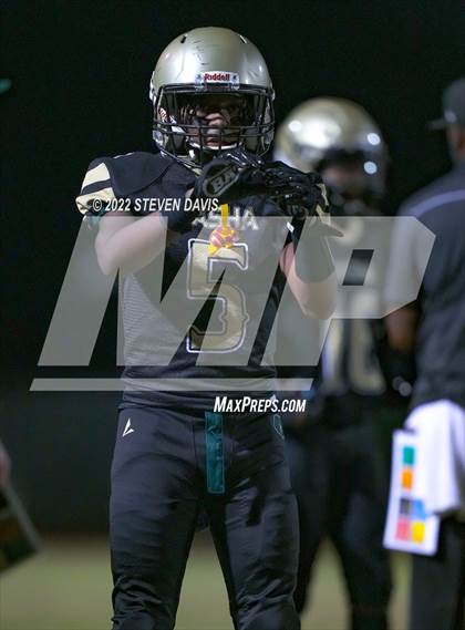 Thumbnail 3 in Hamilton vs Basha photogallery.