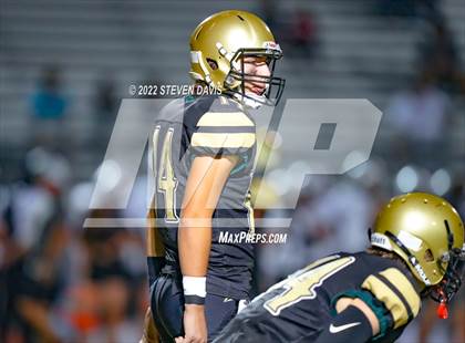 Thumbnail 3 in Hamilton vs Basha photogallery.