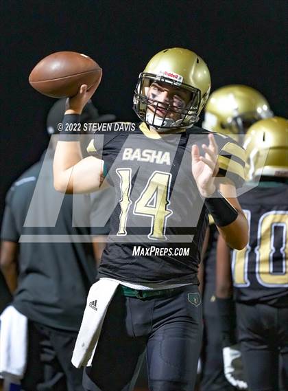 Thumbnail 1 in Hamilton vs Basha photogallery.