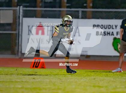 Thumbnail 3 in Hamilton vs Basha photogallery.