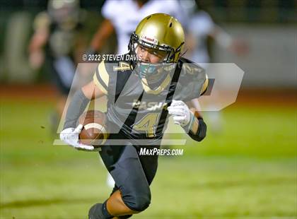 Thumbnail 2 in Hamilton vs Basha photogallery.