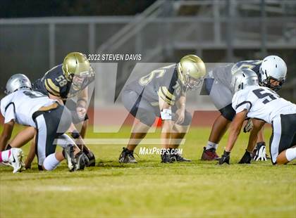 Thumbnail 1 in Hamilton vs Basha photogallery.