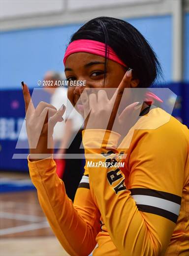 null - Photo 01