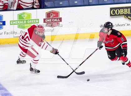 Thumbnail 1 in Hingham vs. Pope Francis (MIAA Division 1A) photogallery.
