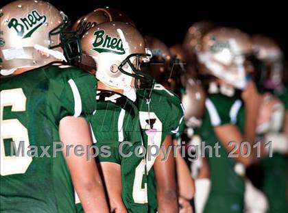 Thumbnail 2 in Canyon @ Brea Olinda photogallery.