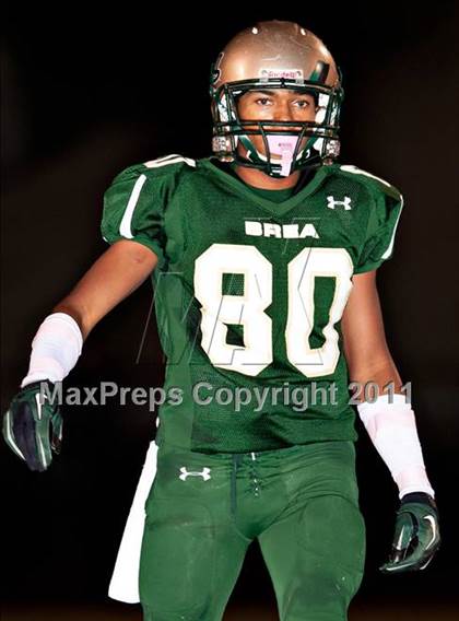 Thumbnail 3 in Canyon @ Brea Olinda photogallery.