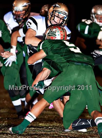 Thumbnail 3 in Canyon @ Brea Olinda photogallery.