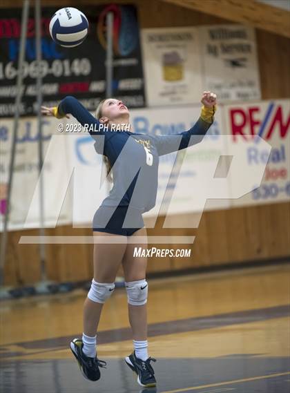 Thumbnail 1 in Orland @ Gridley photogallery.