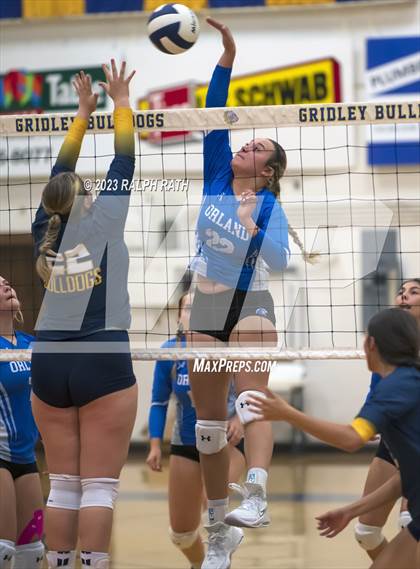 Thumbnail 2 in Orland @ Gridley photogallery.