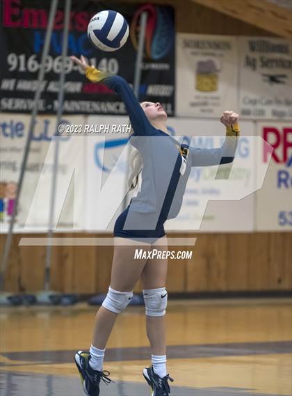 Thumbnail 1 in Orland @ Gridley photogallery.