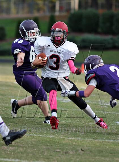 Thumbnail 2 in Cocke County @ Sevier County photogallery.