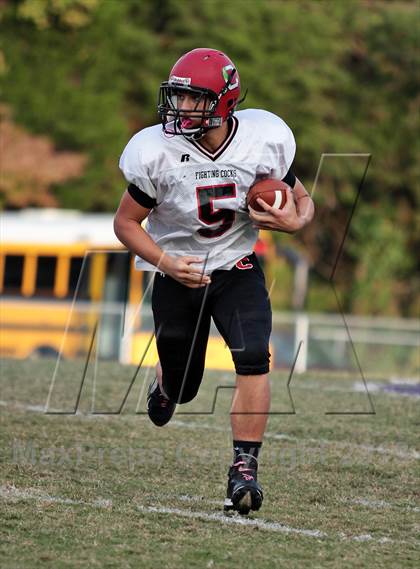 Thumbnail 3 in Cocke County @ Sevier County photogallery.