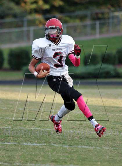 Thumbnail 1 in Cocke County @ Sevier County photogallery.
