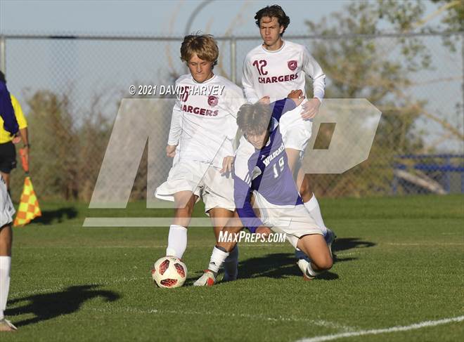 null - Photo 31