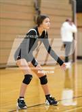 Photo from the gallery "Harbor Beach vs. Almont"