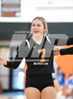 Photo from the gallery "Harbor Beach vs. Almont"