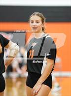 Photo from the gallery "Harbor Beach vs. Almont"