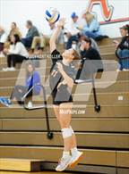 Photo from the gallery "Harbor Beach vs. Almont"