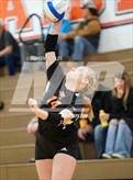 Photo from the gallery "Harbor Beach vs. Almont"