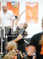 Photo from the gallery "Harbor Beach vs. Almont"
