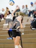 Photo from the gallery "Harbor Beach vs. Almont"
