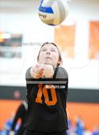 Photo from the gallery "Harbor Beach vs. Almont"