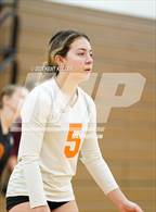 Photo from the gallery "Harbor Beach vs. Almont"