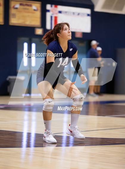 Thumbnail 1 in Great Oak vs King photogallery.