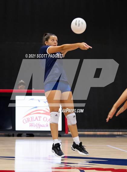 Thumbnail 1 in Great Oak vs King photogallery.