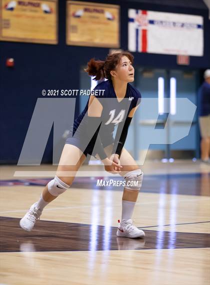Thumbnail 2 in Great Oak vs King photogallery.