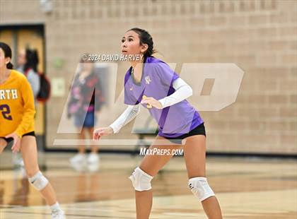 Thumbnail 1 in Denver North vs Bear Creek photogallery.