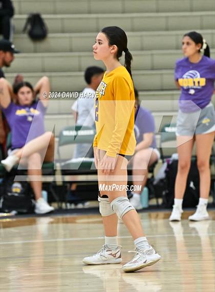 Thumbnail 1 in Denver North vs Bear Creek photogallery.