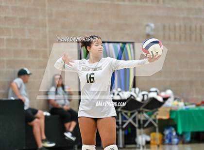 Thumbnail 1 in Denver North vs Bear Creek photogallery.