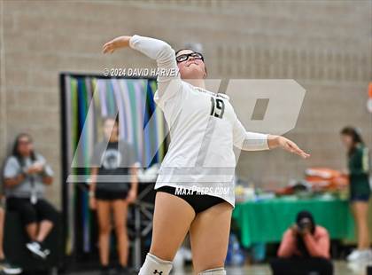 Thumbnail 2 in Denver North vs Bear Creek photogallery.