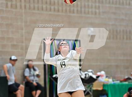 Thumbnail 2 in Denver North vs Bear Creek photogallery.