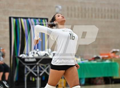 Thumbnail 3 in Denver North vs Bear Creek photogallery.