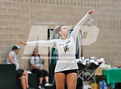Thumbnail 3 in Denver North vs Bear Creek photogallery.