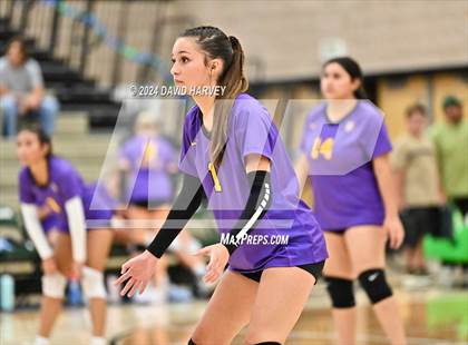 Thumbnail 1 in Denver North vs Bear Creek photogallery.