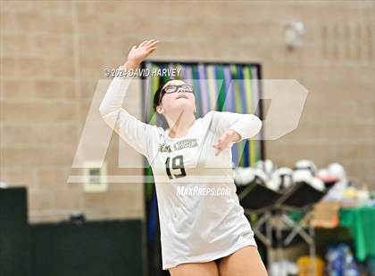 Thumbnail 1 in Denver North vs Bear Creek photogallery.