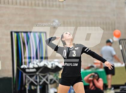 Thumbnail 1 in Denver North vs Bear Creek photogallery.