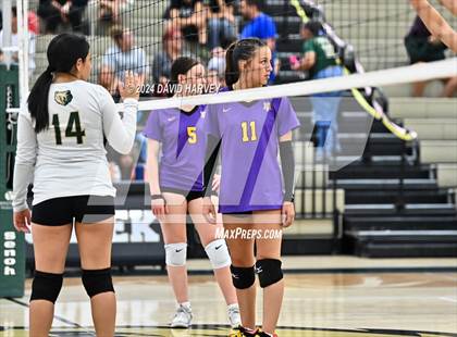 Thumbnail 3 in Denver North vs Bear Creek photogallery.