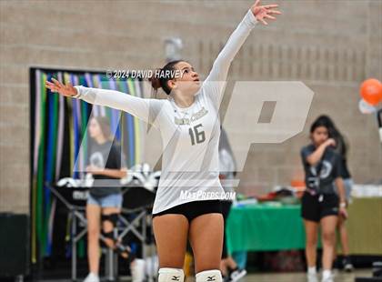 Thumbnail 2 in Denver North vs Bear Creek photogallery.