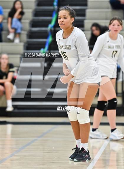 Thumbnail 1 in Denver North vs Bear Creek photogallery.