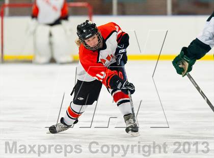 Thumbnail 3 in Brewster @ Pawling photogallery.