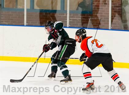 Thumbnail 3 in Brewster @ Pawling photogallery.