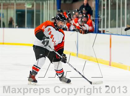 Thumbnail 2 in Brewster @ Pawling photogallery.