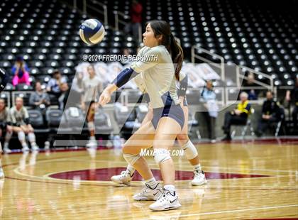 Thumbnail 1 in Keller vs. Ridge Point (UIL Volleyball 6A Semi-Finals)  photogallery.