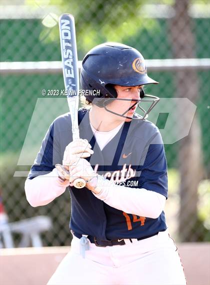 Thumbnail 3 in Corona del Sol @ Cienega photogallery.